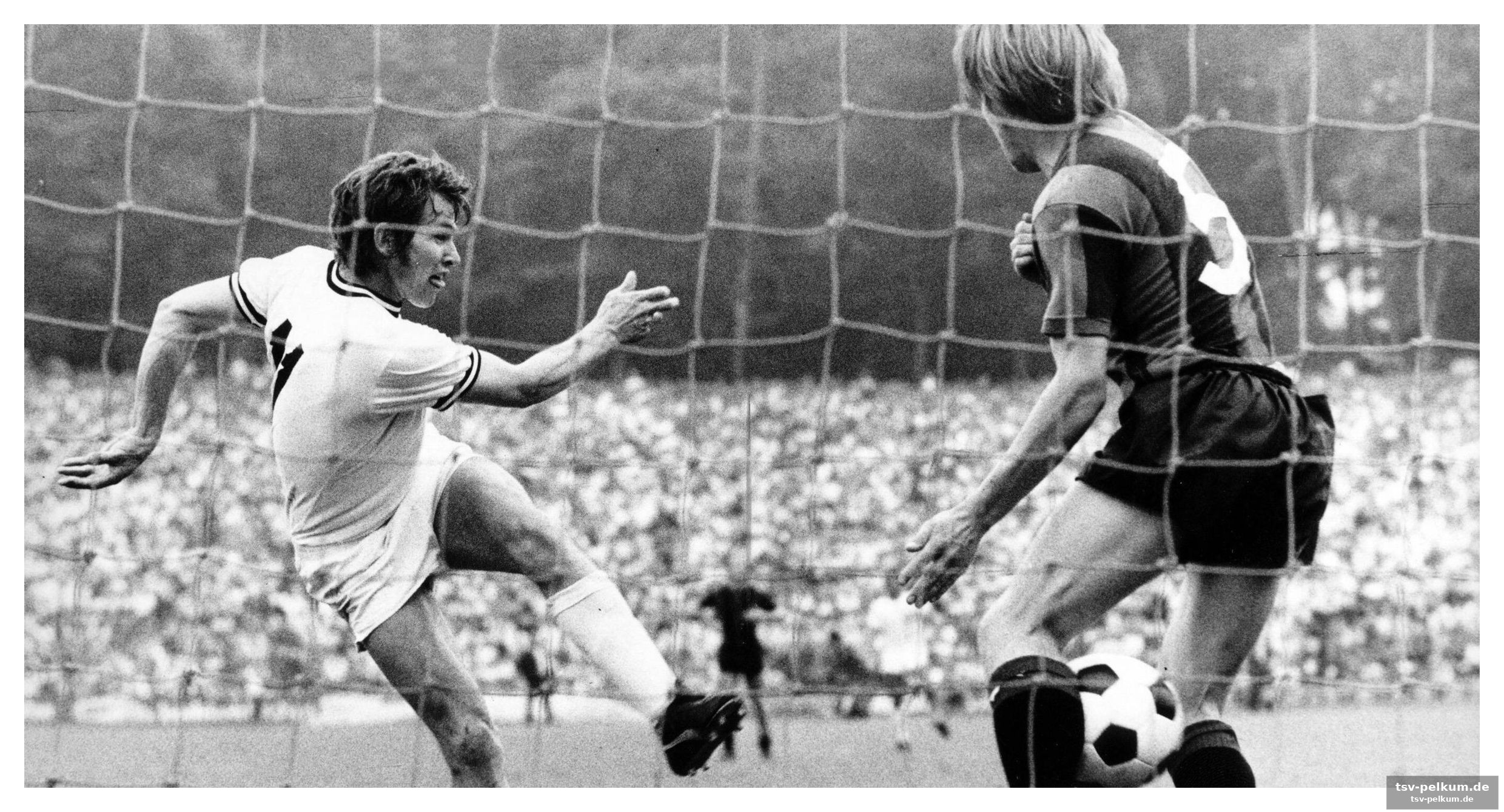 Die spannung vor dem letzten spieltag: ein kopf-an-kopf-rennen