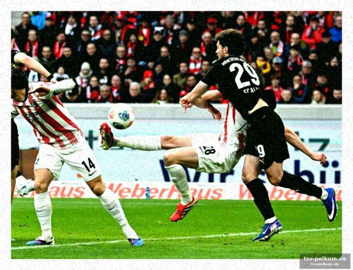 Ginter und matanović schießen freiburg zum sieg