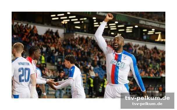 Shakhtar donetsk – crystal palace: ein klarer sieg für die eagles