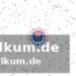 Alarmierende bilanz seit dezember