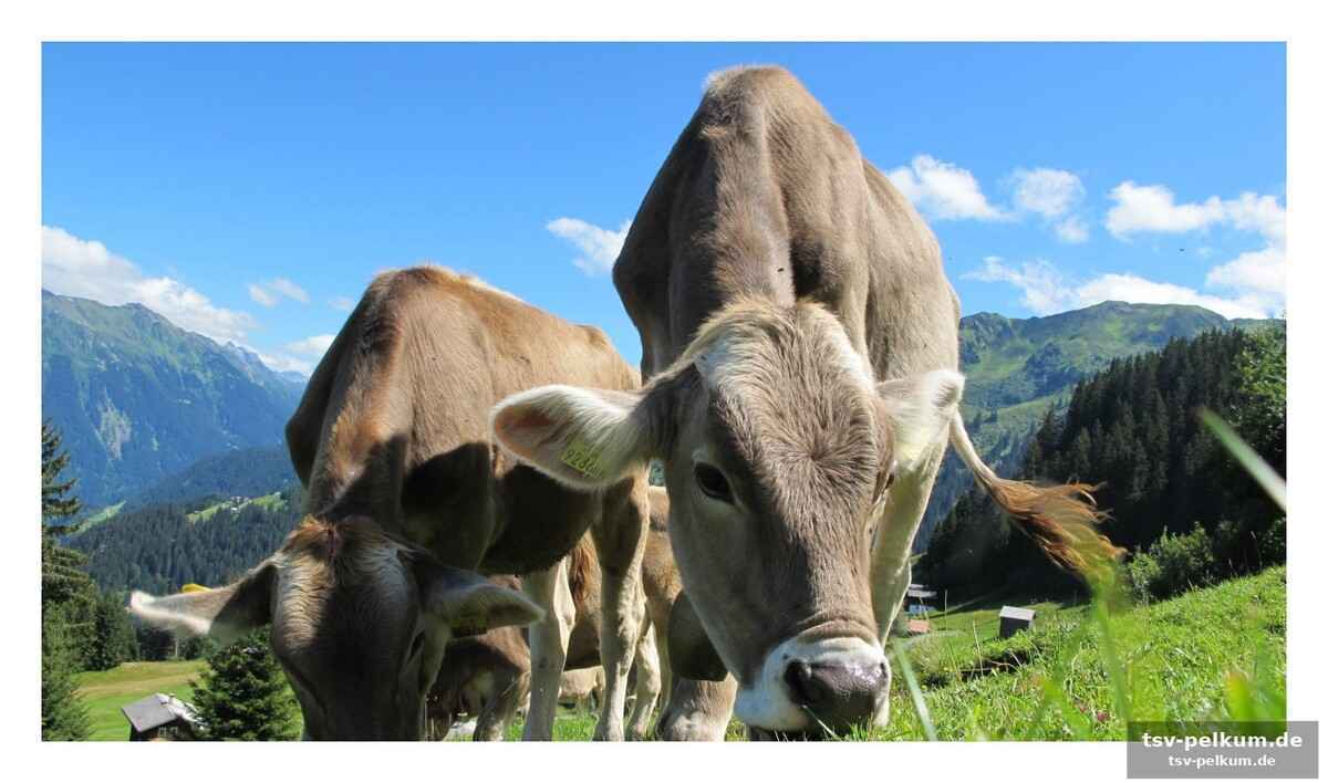 Eco-zertifizierung: mehr als nur ein label