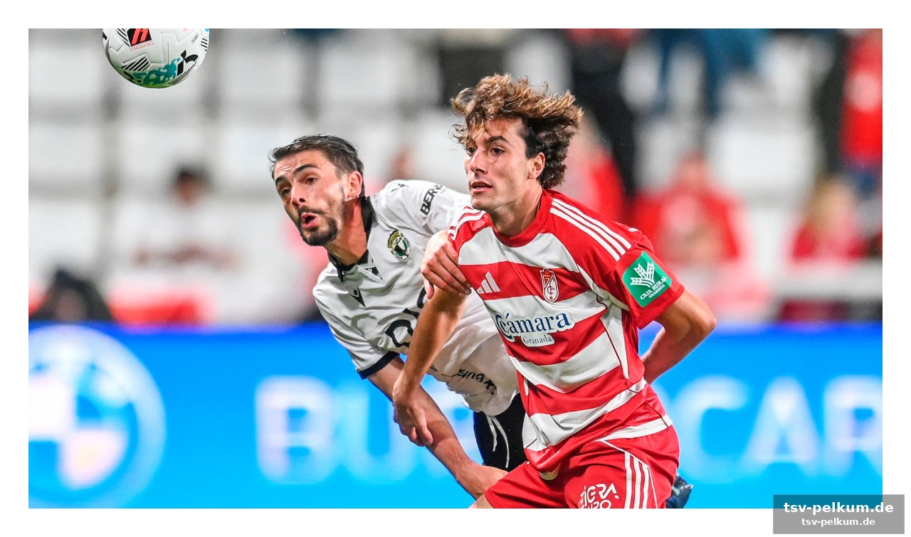 Ein kampf um die playoffs, ein spiel ohne druck