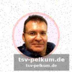 Die zahlen lügen nicht: ein blick auf die fakten