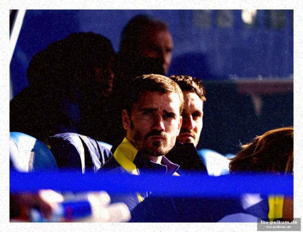 Bestätigungen von renommierten quellen