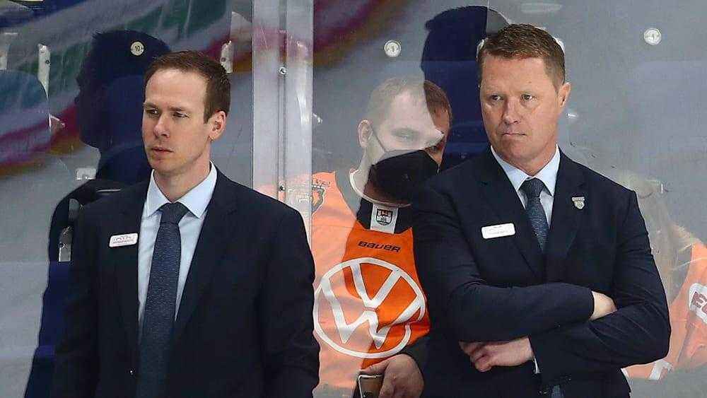 Grizzlys feuern stewart und setzen auf haskins als retter