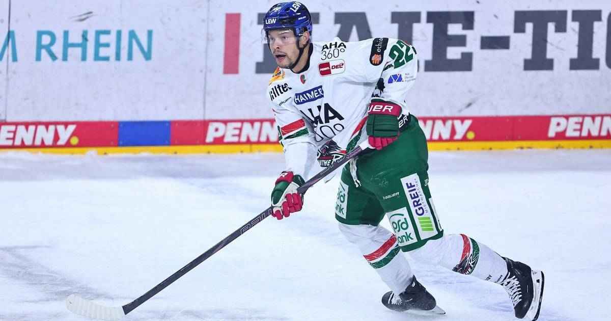 Grizzlys verstärken abwehr: bowey kommt aus augsburg!