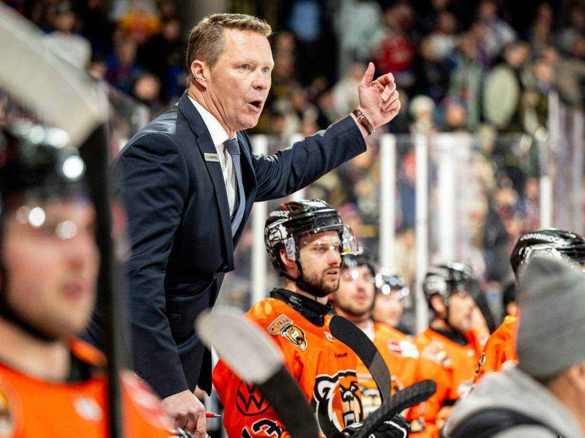 Grizzlys wolfsburg feuern stewart – haskins übernimmt sofort
