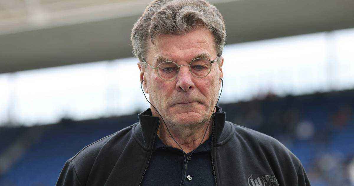 Chaosgeflüster? hecking weist gerüchte zurück