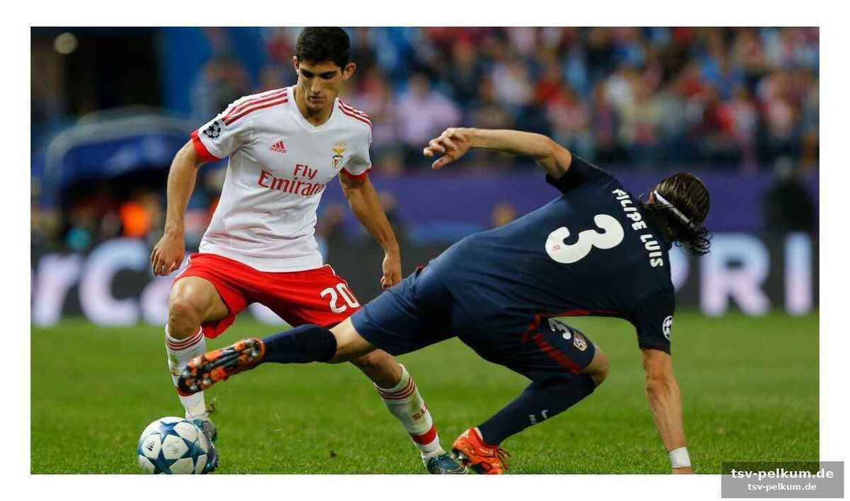 Ein fast vergessener transfer im winter 2016