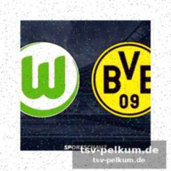 Stimmen zum spiel