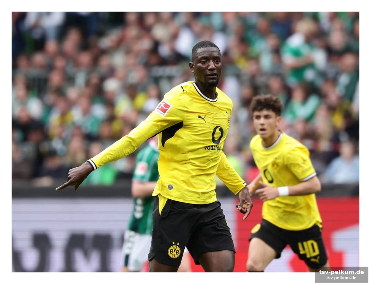 Bvb-verantwortliche beharren auf verbleib