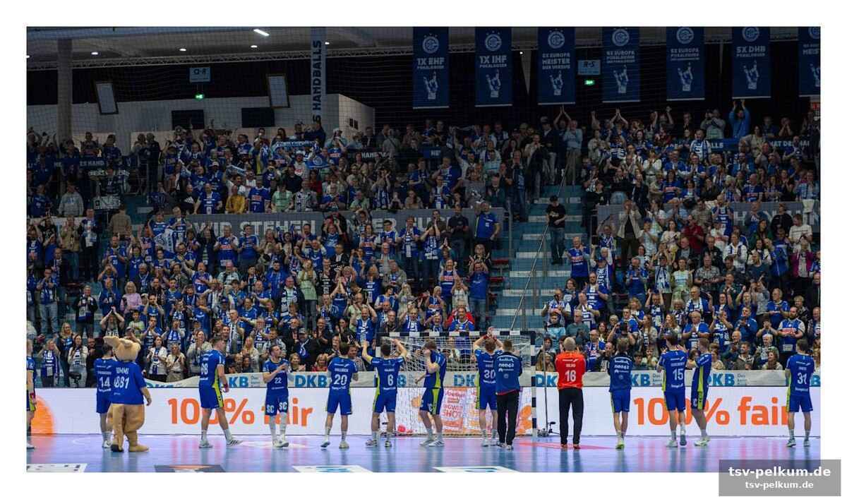 Die fan-power der bundesliga im vergleich