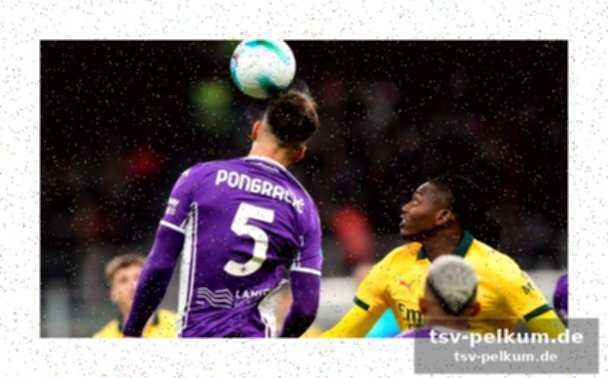 Pongracic: solide leistungen bei der fiorentina