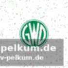 Fokus lag auf der rückkehr in die kampa-halle