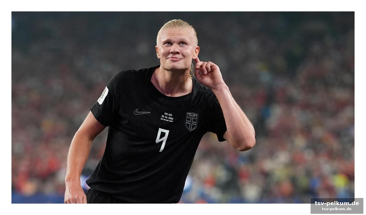 Die fans fordern haaland
