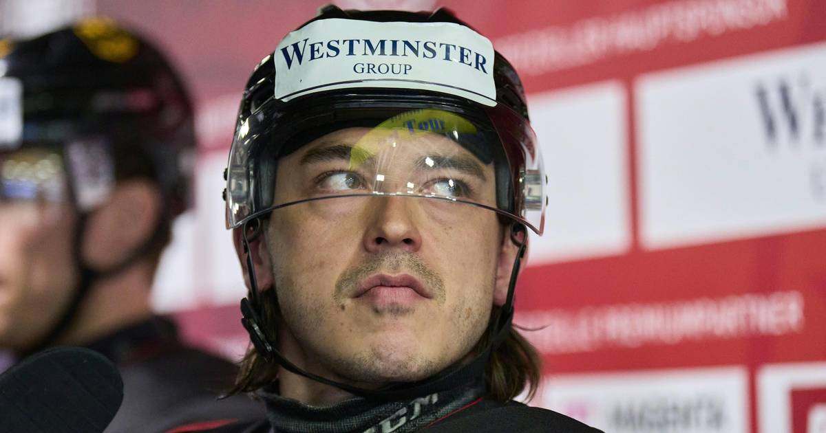 Haie angreifen: ex-weltmeister verstärkt kölner angriff!