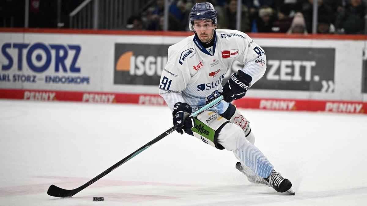Haie verstärken angriff: fleischer kommt aus straubing!