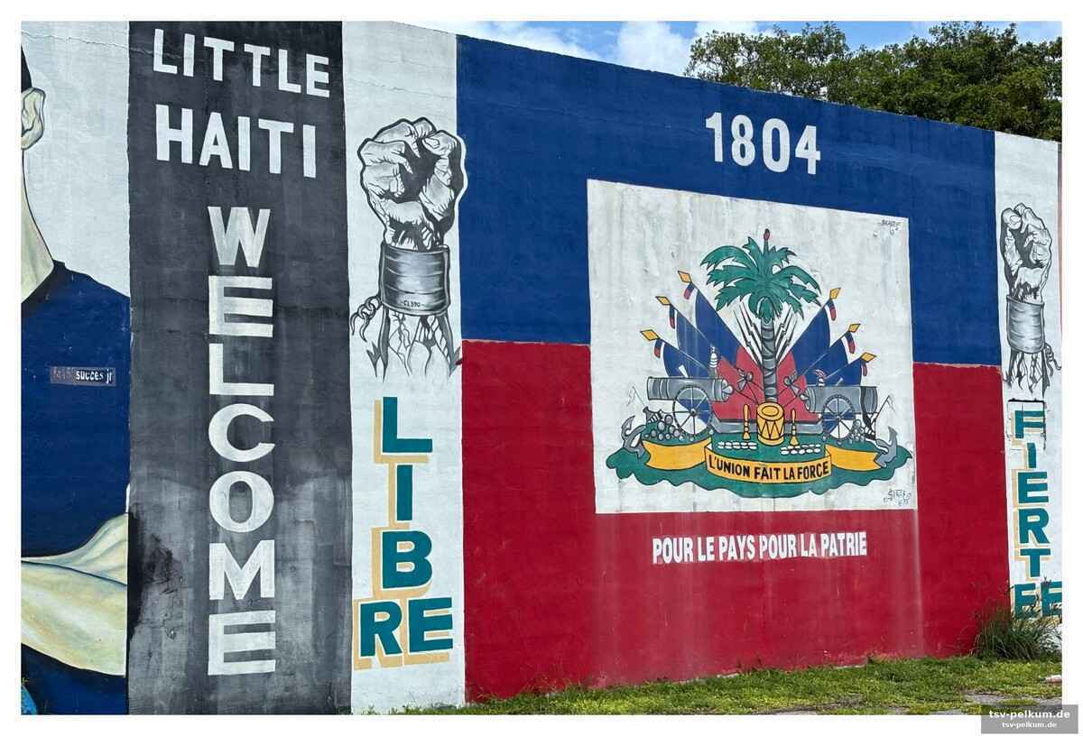 Die euphorie in little haiti