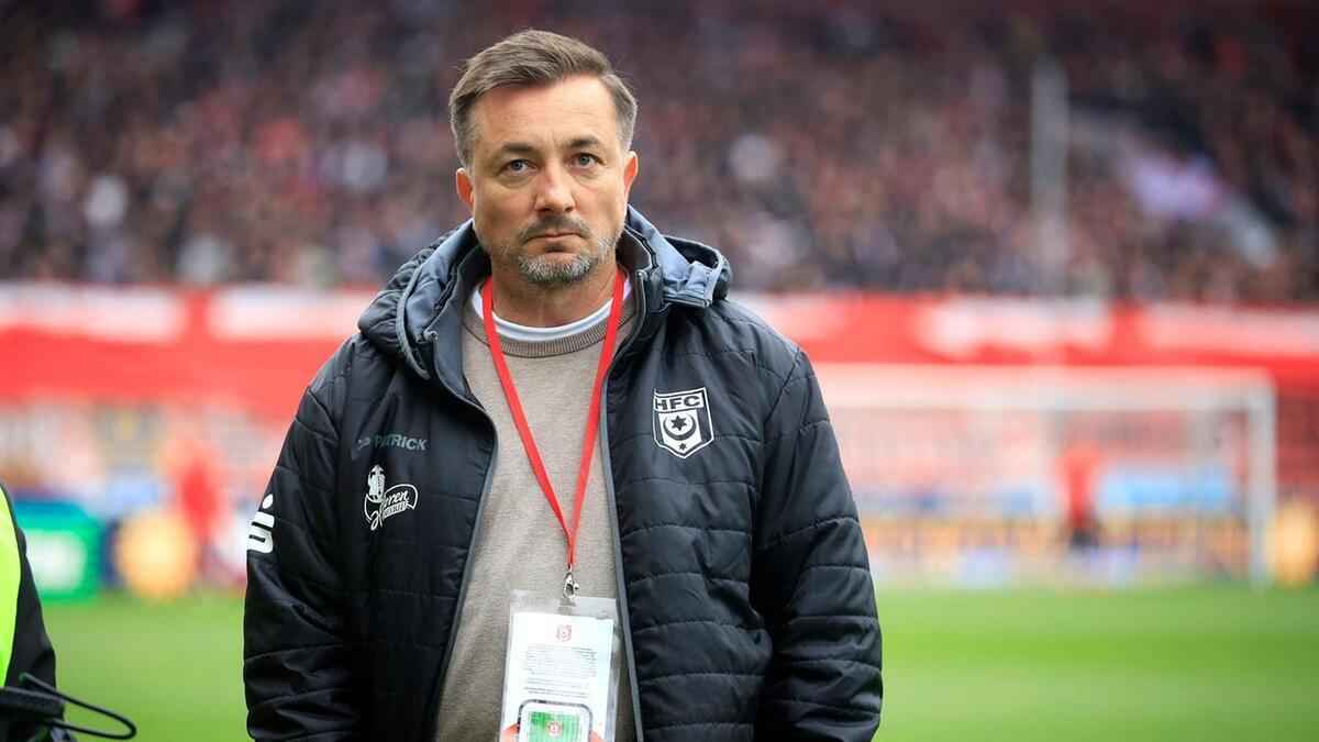 Hallescher fc: meyer-aus! was bedeutet das für die zukunft?