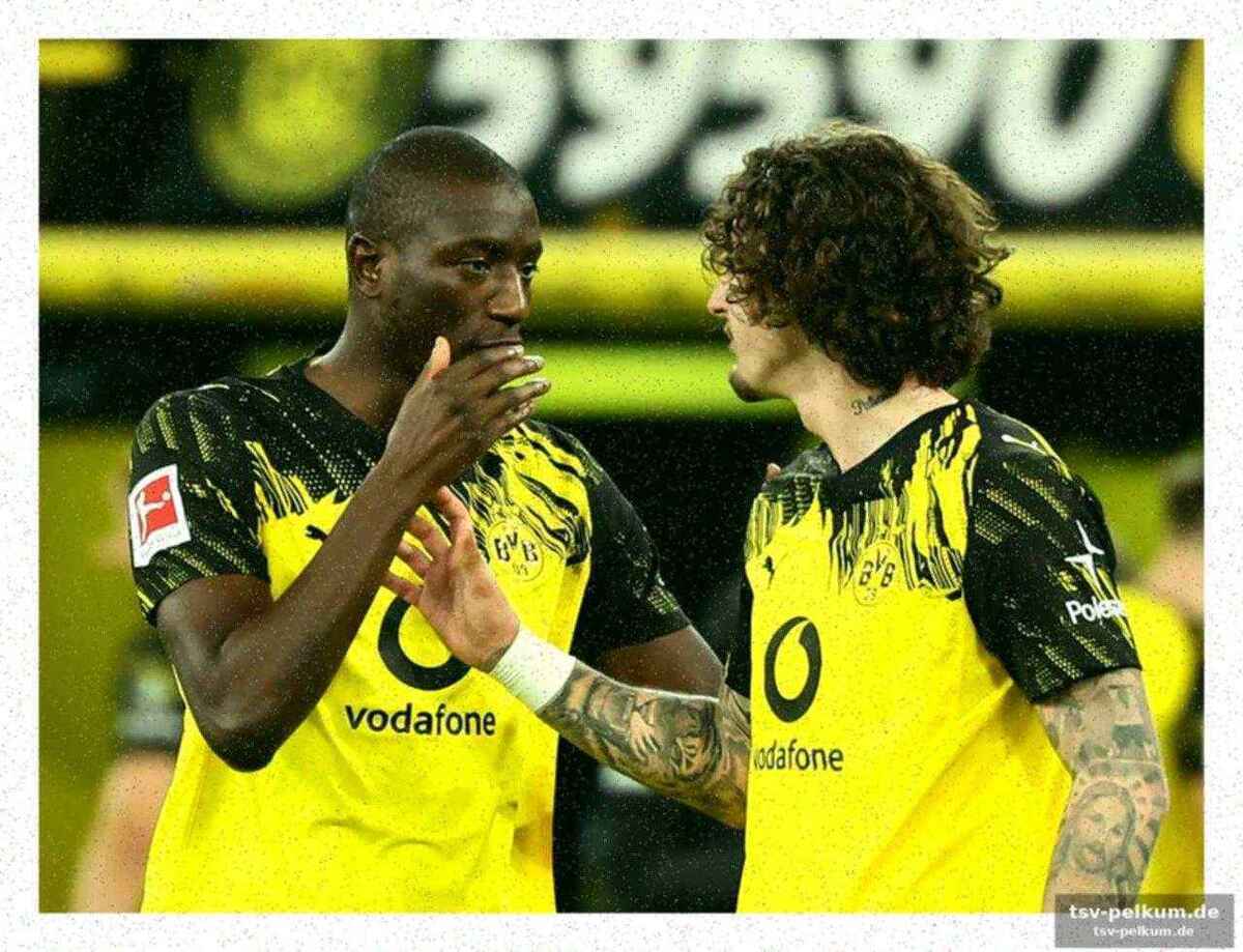 Guirassy und silva im fokus