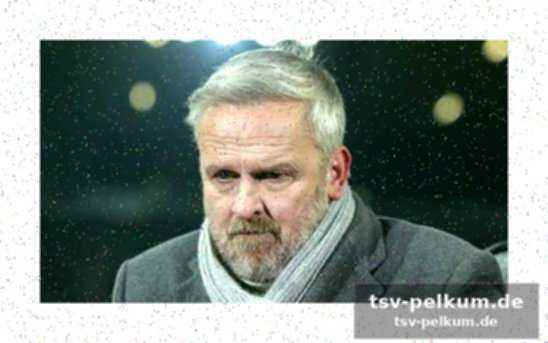 Hamanns scharfe kritik am var