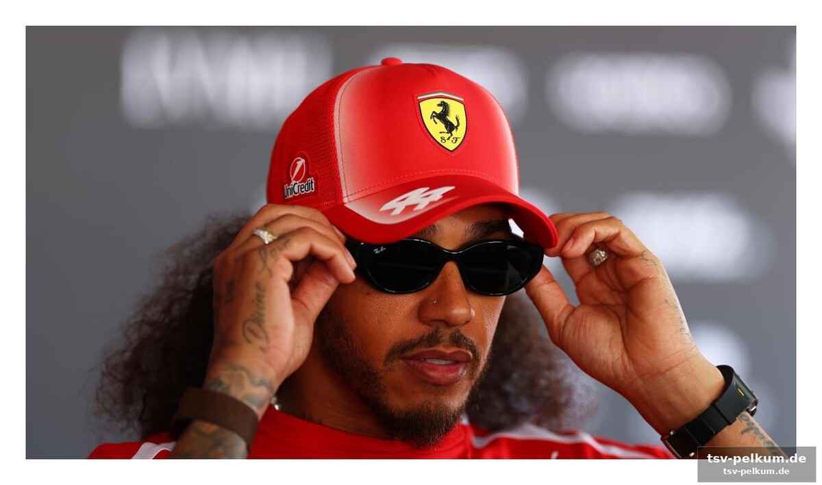 Hamiltons stimme wird gehört: „ich hatte kein mitspracherecht“