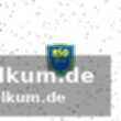 Übersicht der ergebnisse des 17. spieltags