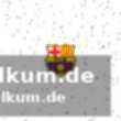 Füchse berlin vor dem viertelfinale