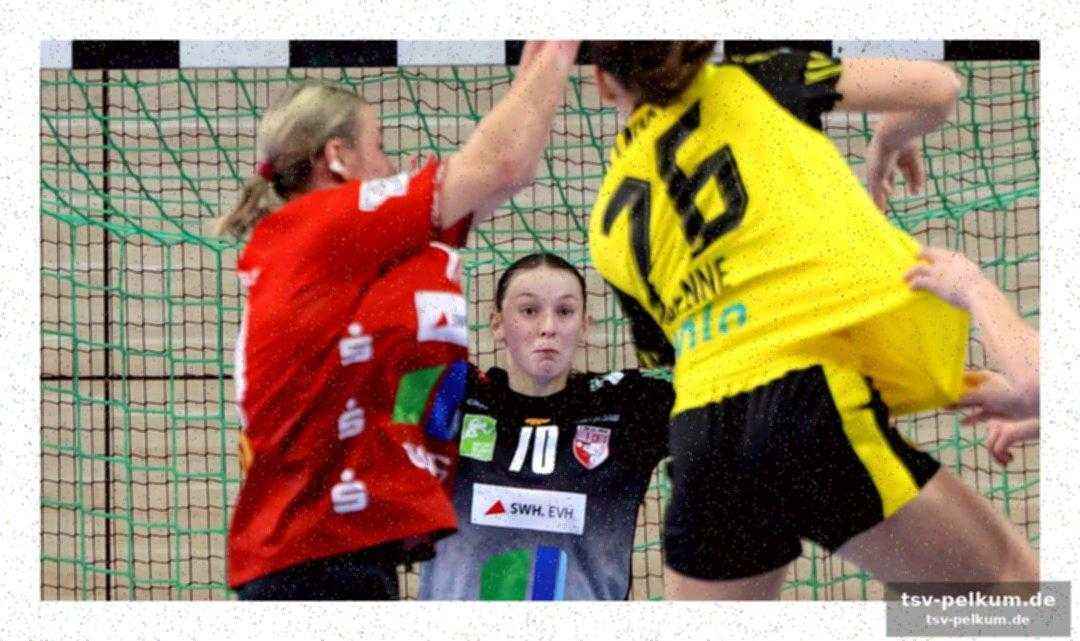 Borussia dortmund dominiert in halle-neustadt