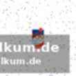 Buxtehuder sv gegen sv union halle-neustadt: kampf um platz 8