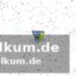 Handball-luchse punkten gegen rostock
