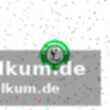 Buxtehude erkämpft unentschieden in dortmund