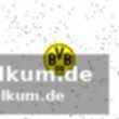 Neckarsulm gewinnt derby gegen göppingen