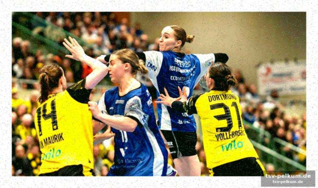 Personalsorgen beim sv union halle-neustadt