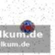 Hsg bensheim/auerbach dominiert zwickau