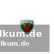 Sg flensburg-handewitt demoliert mt melsungen