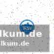 Rhein-neckar löwen drehen spiel gegen lemgo