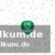Stenogramme (auszug)
