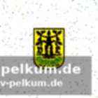 Sportgericht entscheidet über wertung und wiederholungsspiel