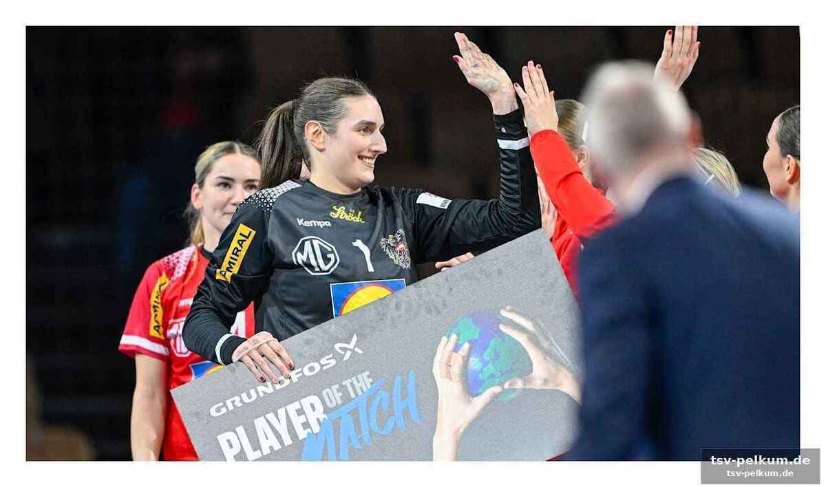 Erfahrungen aus der wm zahlen sich aus