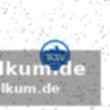 Internationale handball-stars im einsatz