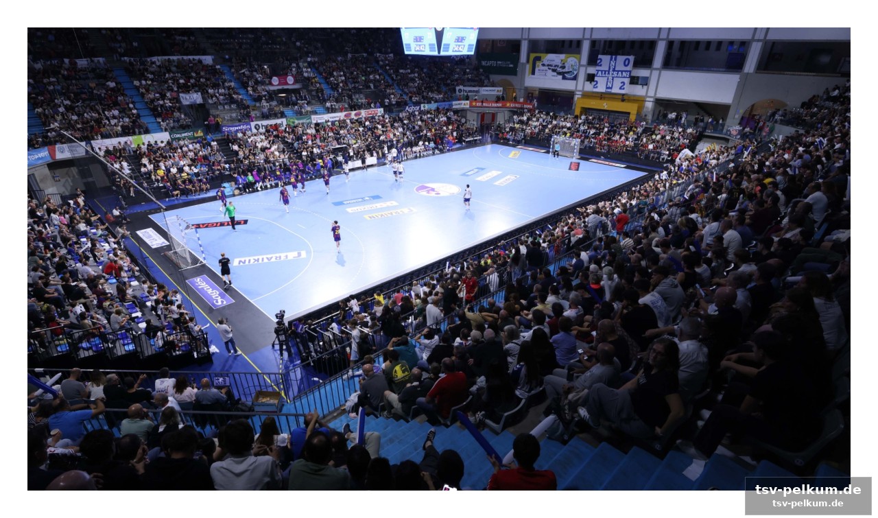 Die zukunft des handballs in deutschland