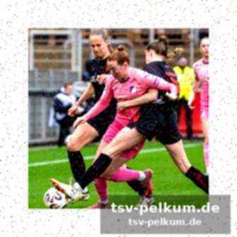 Bvb-fokus liegt nun wieder auf der bundesliga