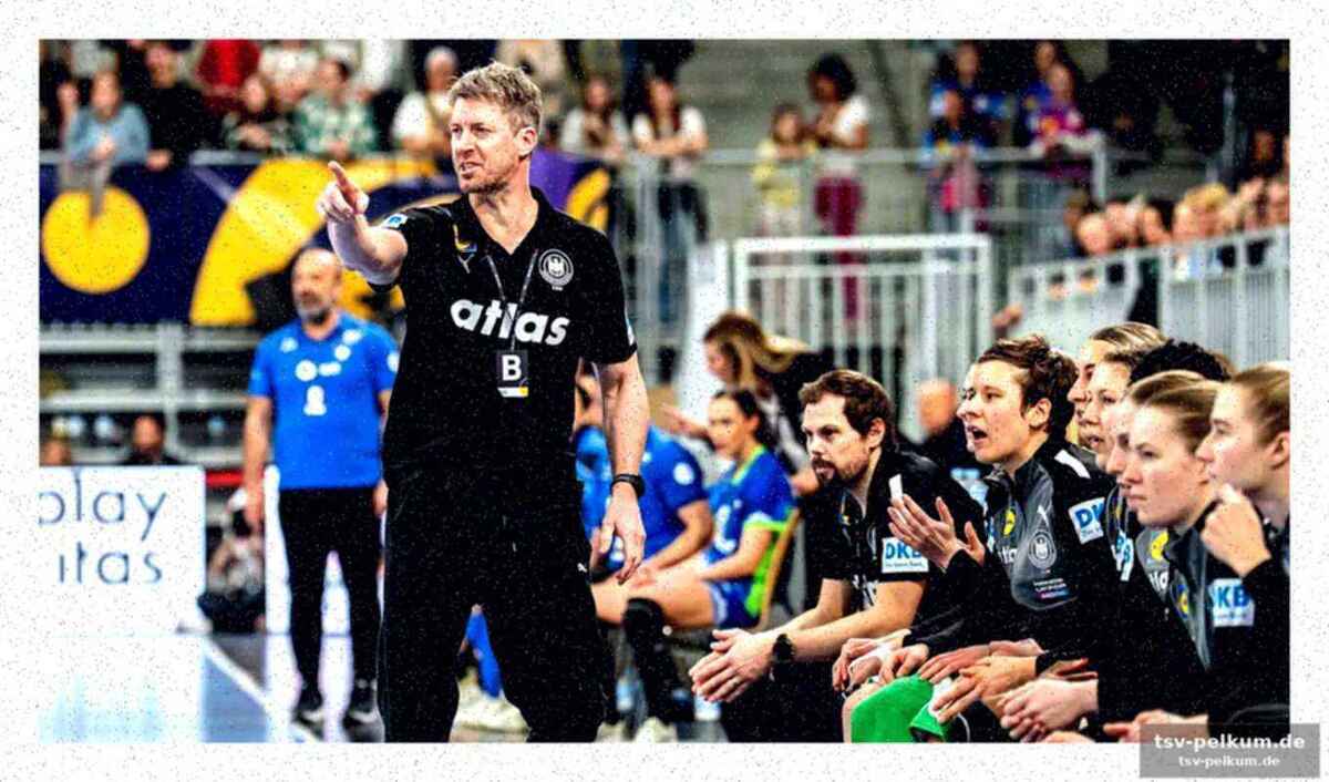 Neuzugänge im team