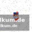 Handball bundesliga frauen: spitzenspiel und verfolgerduell