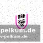 Das entscheidende duell: brest bretagne gegen ihren ehemaligen verein