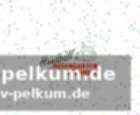 Emma niemann – ein vielversprechendes talent