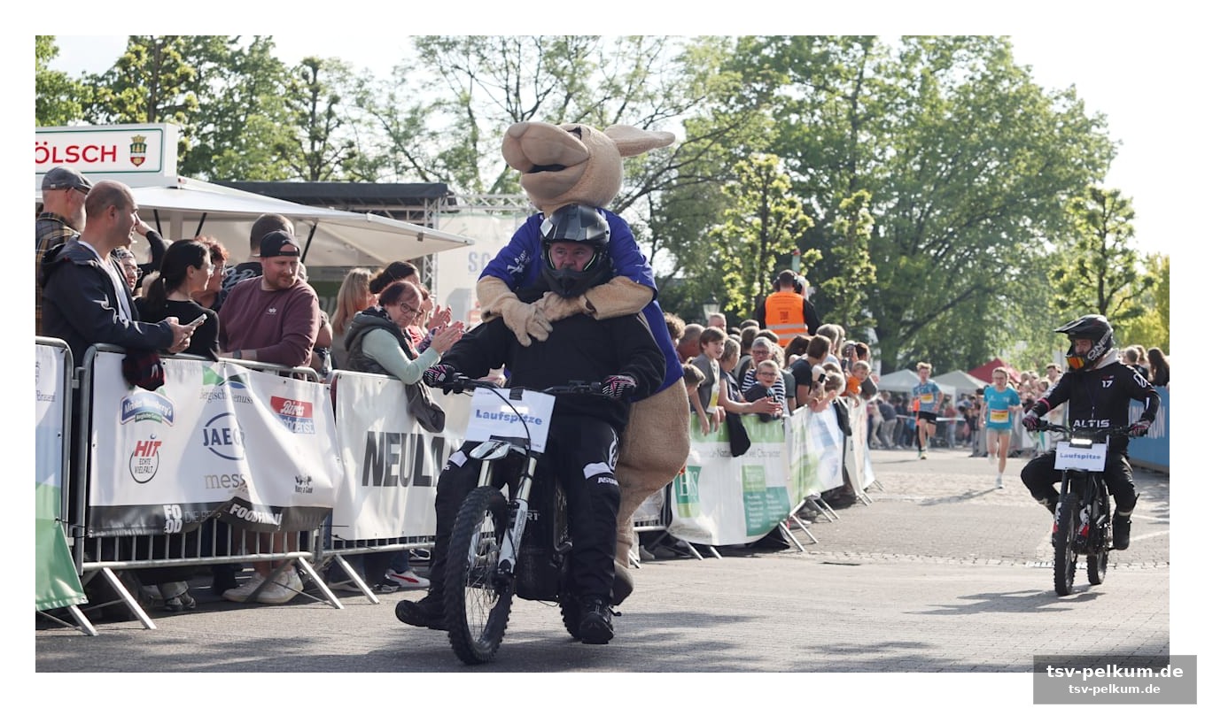 Ein sprung zu viel: „gummi“ als sozius auf dem motorrad