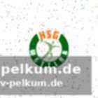 Warum die hsg wetzlar?