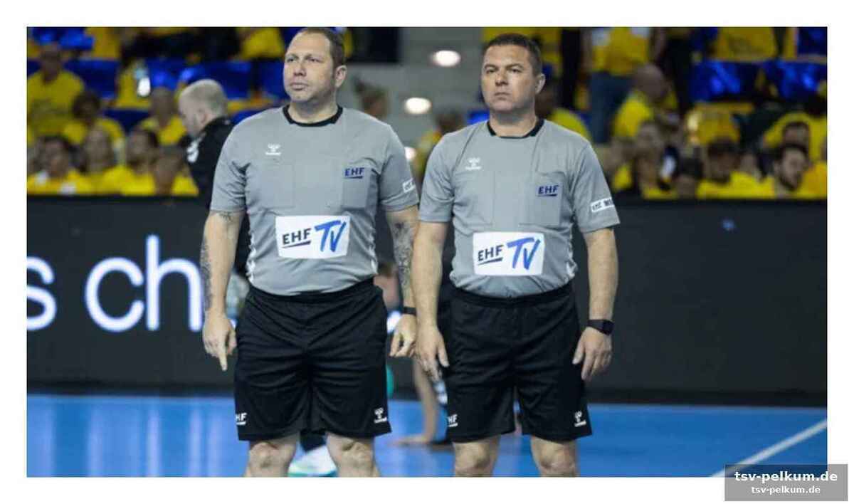 Die ehf schlägt hart zu: zwei jahre sperre und hohe geldstrafen
